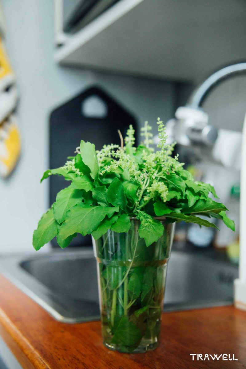 fresh vegetable preserved in a glass of water