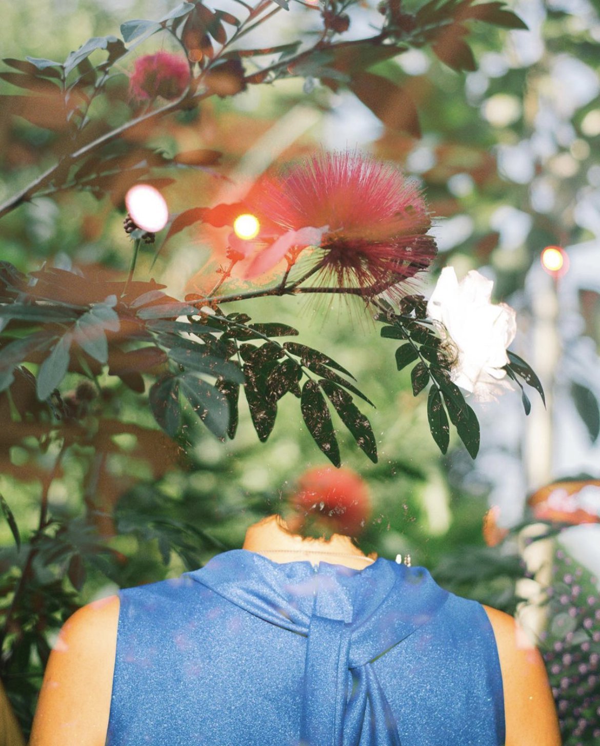 contributor's photo